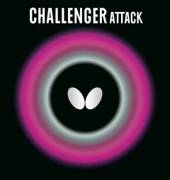 Butterfly Challenger Attack